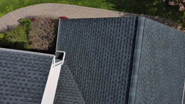 Best Storm Damage Roof Repair  in Stevensville, MI
