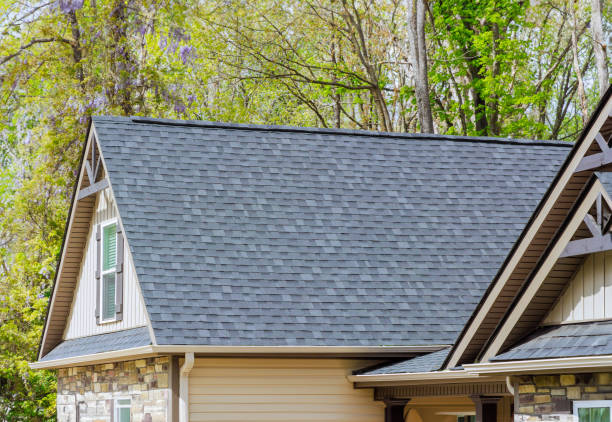 Best Steel Roofing  in Stevensville, MI